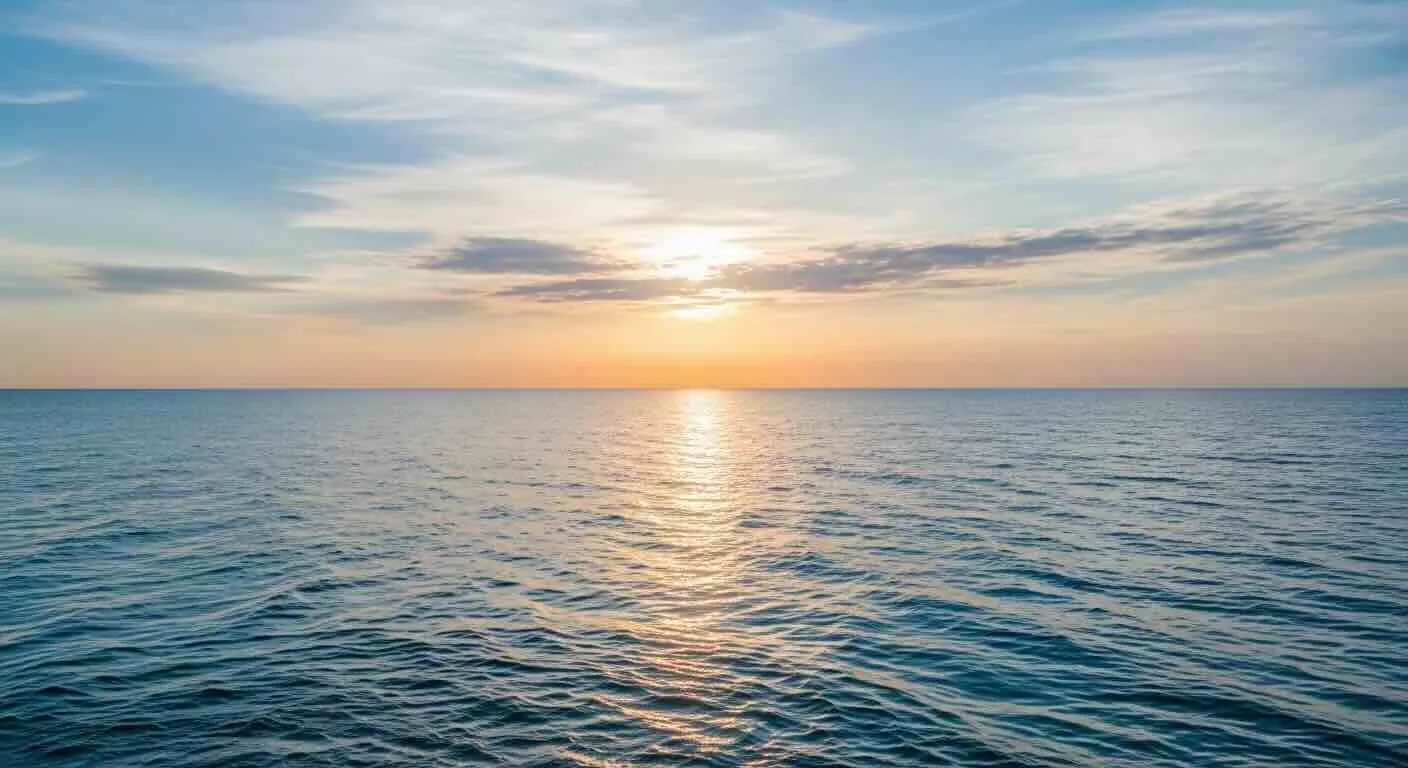 ARK NEXTの働く環境